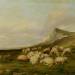 Sheep on the Kentish Coast